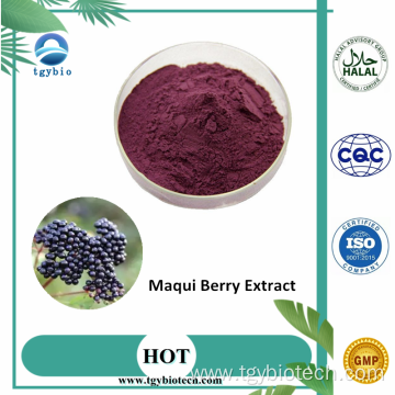 Best Price Acai Berry Extract Maqui Berry Powder